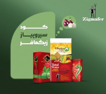 کود اختصاصی سیر و پیاز زیگمافر