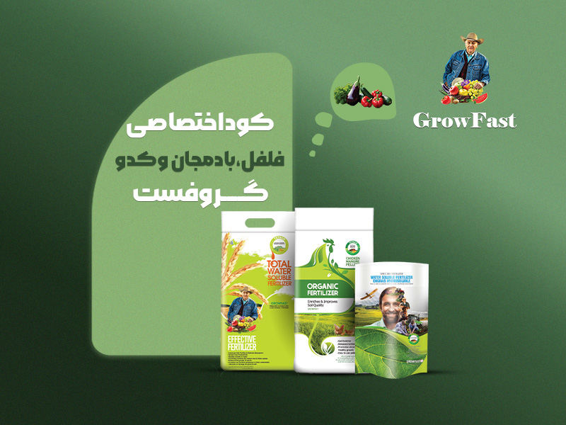 کود اختصاصی فلفل، بادمجان و کدو گروفست