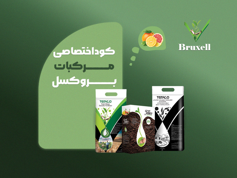 کود اختصاصی مرکبات بروکسل