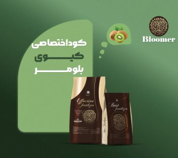 کود اختصاصی کیوی بلومر