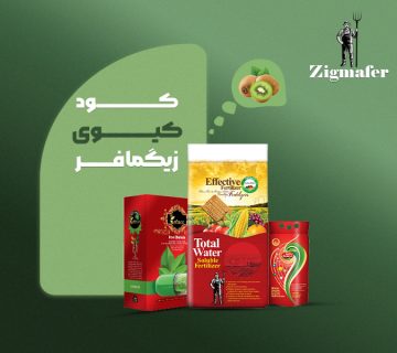 کود اختصاصی کیوی زیگمافر