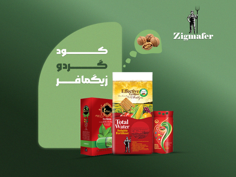 کود اختصاصی گردو زیگمافر