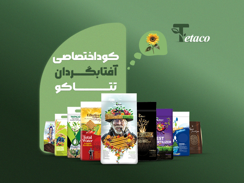 کوداختصاصی افتابگردان تتاکو