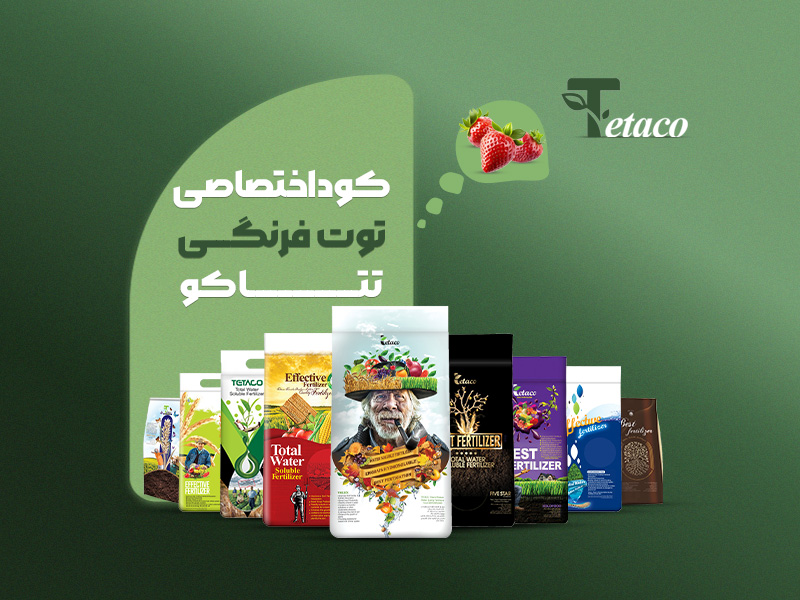 کوداختصاصی توت فرنگی تتاکو