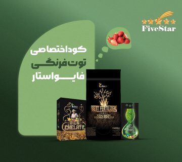 کوداختصاصی توت فرنگی فایواستار