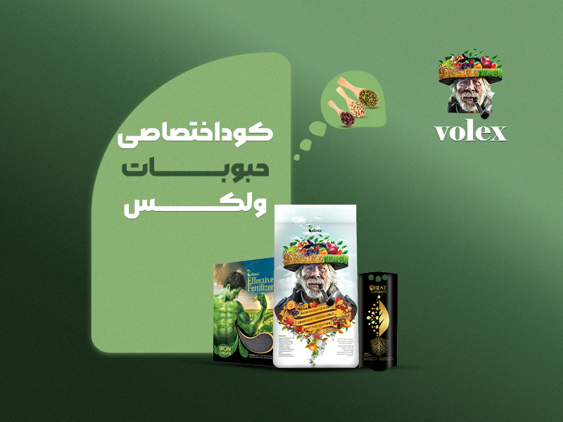 کوداختصاصی حبوبات ولکس