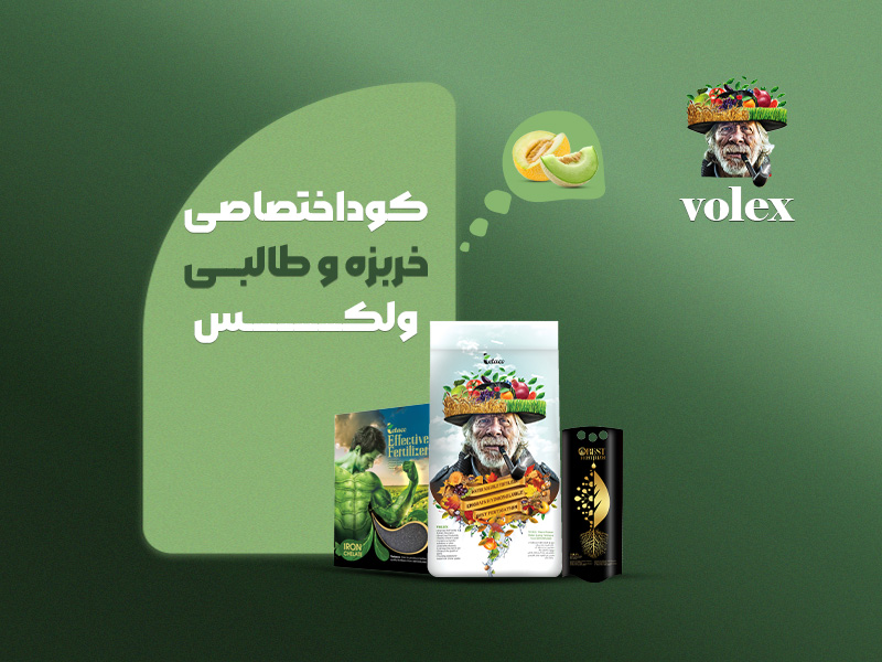 کوداختصاصی خربزه و طالبی ولکس