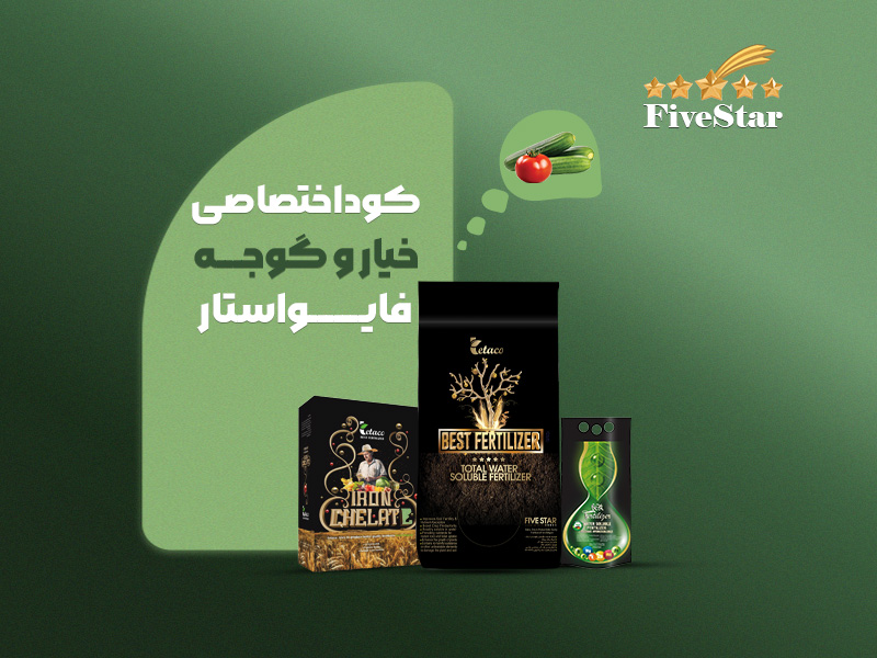 کوداختصاصی خیاروگوجه فایواستار