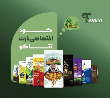 کوداختصاصی ذرت تتاکو