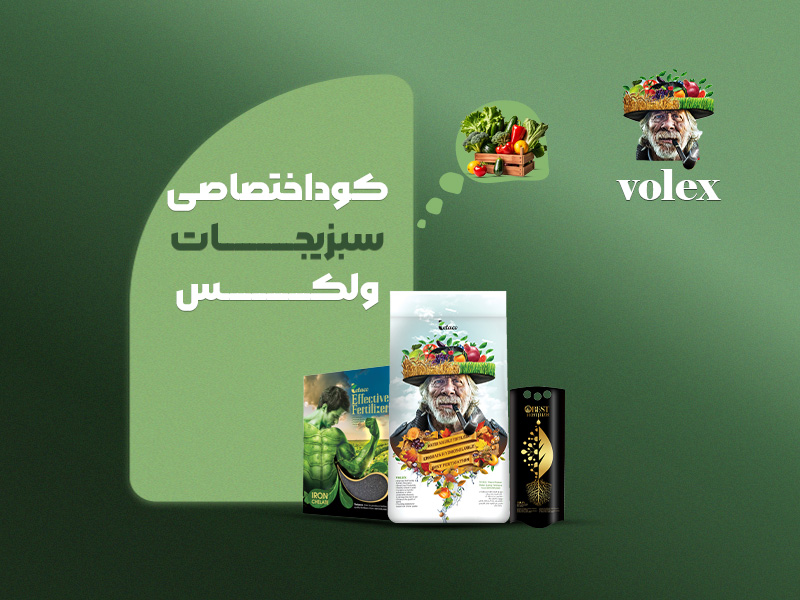 کوداختصاصی سبزیجات ولکس