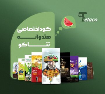 کوداختصاصی هندوانه تتاکو
