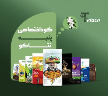 کوداختصاصی پنبه تتاکو