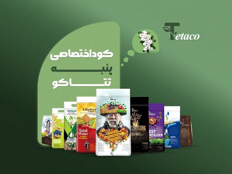 کوداختصاصی پنبه تتاکو