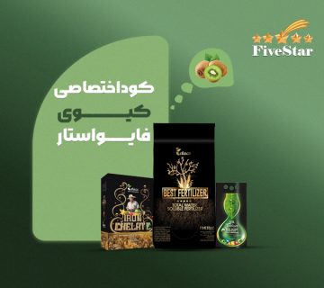 کوداختصاصی کیوی فایواستار