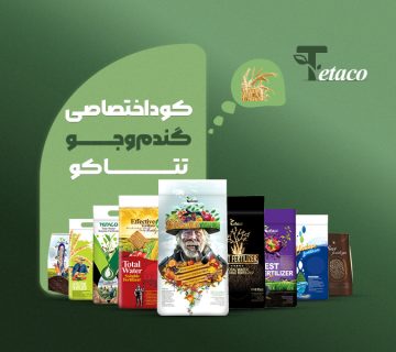 کوداختصاصی گندم و جو تتاکو