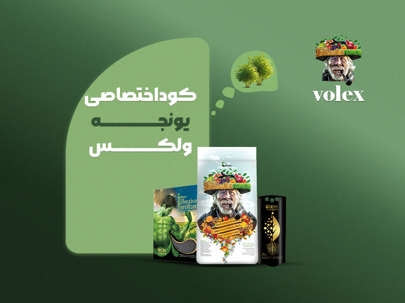 کوداختصاصی یونجه ولکس