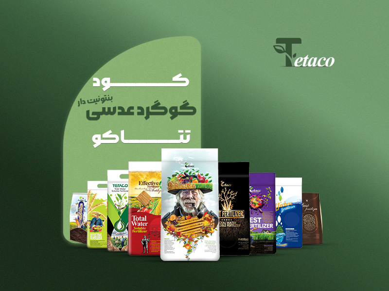 گوگرد عدسی بنتونیت دار