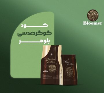 گوگردعدسی-بلومر