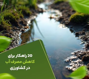 راهکار برای کاهش مصرف آب در کشاورزی
