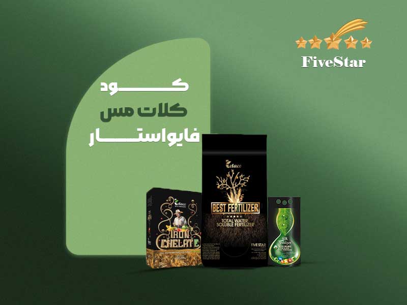 کود کلات مس فایواستار