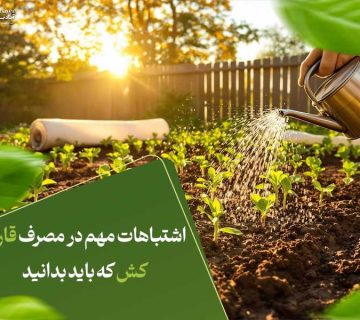 اشتباهات مهم در مصرف قارچ‌کش که باید بدانید