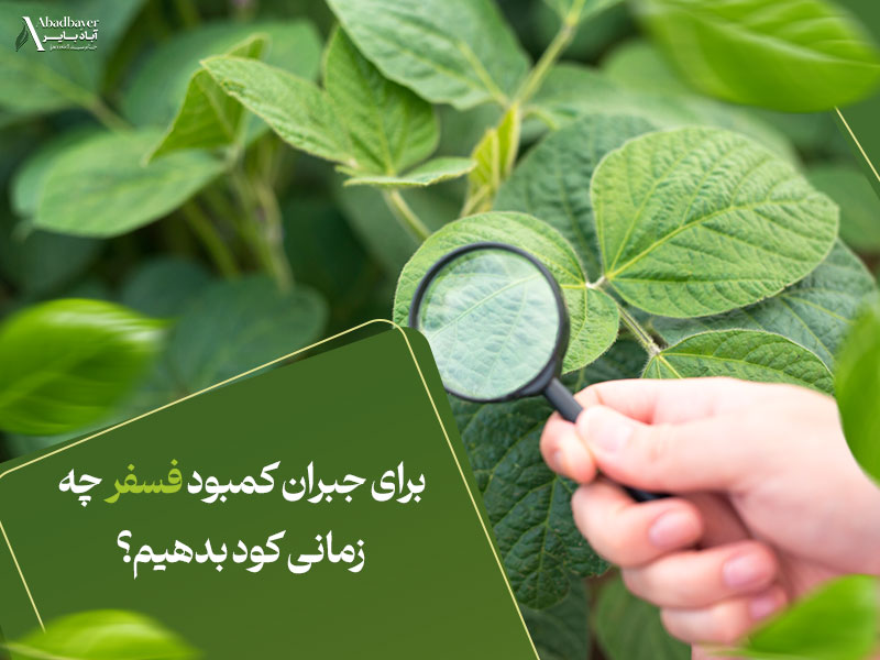 برای جبران کمبود فسفر چه زمانی کود بدهیم؟