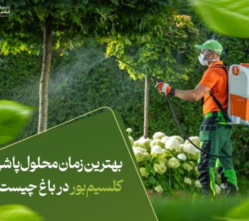 بهترین زمان محلول‌پاشی کلسیم‌بور در باغ چیست؟