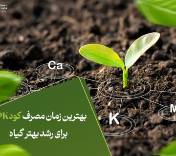 بهترین زمان مصرف کود NPK برای رشد بهترگیاه