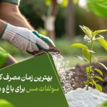 بهترین زمان مصرف کود سولفات مس برای باغ و مزرعه