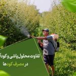 تفاوت محلول‌پاشی و کودآبیاری در مصرف کودها