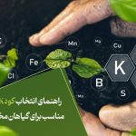 راهنمای انتخاب کود NPK مناسب برای گیاهان مختلف