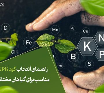 راهنمای انتخاب کود NPK مناسب برای گیاهان مختلف