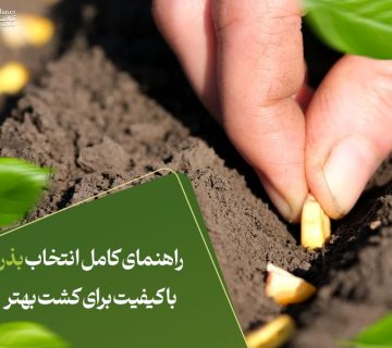 راهنمای کامل انتخاب بذر باکیفیت برای کشت بهتر
