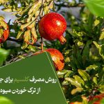 روش مصرف کلسیم برای جلوگیری از ترک خوردن میوه