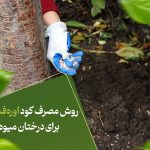 روش مصرف کود اوره‌فسفات برای درختان میوه