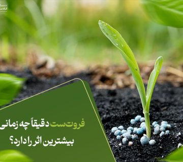فروت‌ست دقیقاً چه زمانی بیشترین اثر را دارد؟