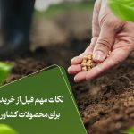 نکات مهم قبل از خرید بذر برای محصولات کشاورزی
