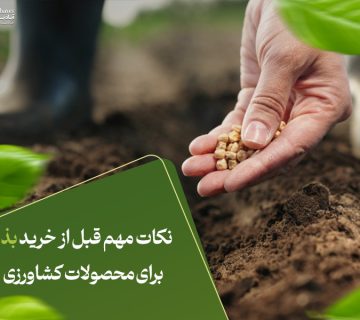 نکات مهم قبل از خرید بذر برای محصولات کشاورزی