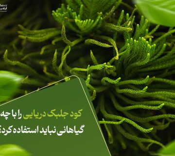 کود جلبک دریایی را با چه گیاهانی نباید استفاده کرد؟