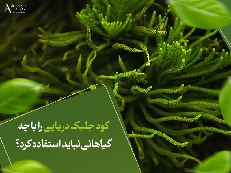 کود جلبک دریایی را با چه گیاهانی نباید استفاده کرد؟