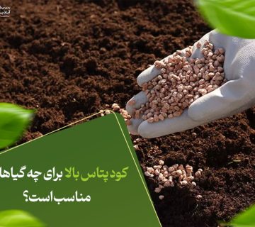 کود پتاس بالا برای چه گیاهانی مناسب است؟