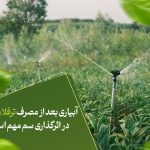آبیاری بعد از مصرف ترفلان چقدر در اثرگذاری سم مهم است؟