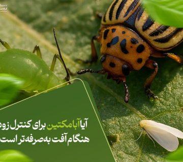 آیا ابامکتین برای کنترل زودهنگام آفت به‌صرفه‌تر است؟