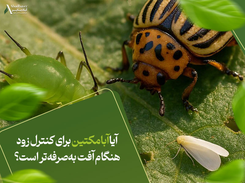 آیا ابامکتین برای کنترل زودهنگام آفت به‌صرفه‌تر است؟