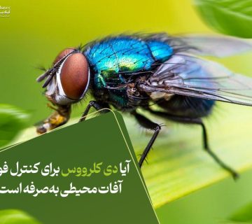 آیا دی کلروس برای کنترل فوری آفات محیطی به‌صرفه است؟
