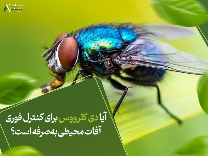 آیا دی کلروس برای کنترل فوری آفات محیطی به‌صرفه است؟