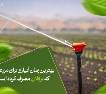 بهترین زمان آبیاری برای مزرعه‌ای که ترفلان مصرف کرده است