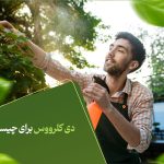 دی کلرووس برای چیست؟