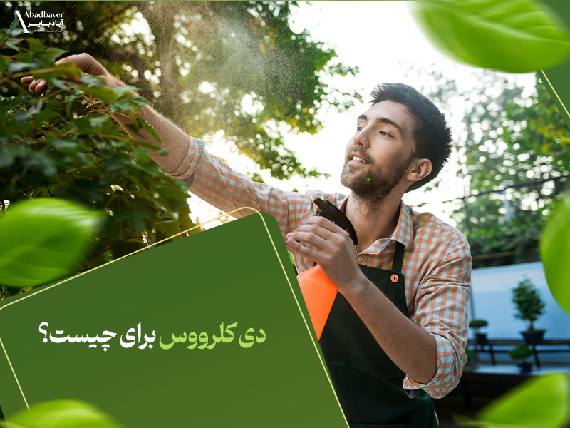 دی کلرووس برای چیست؟