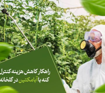 راهکار کاهش هزینه کنترل کنه با ابامکتین در گلخانه